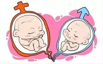 凍結胚移植