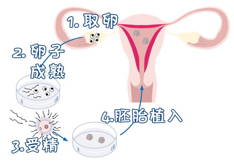 周医師